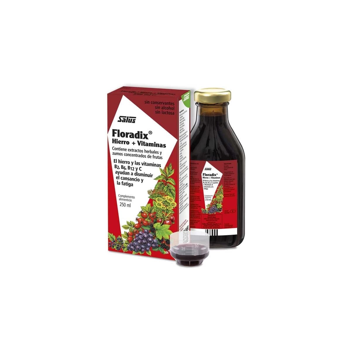 Floradix 250ml Salus