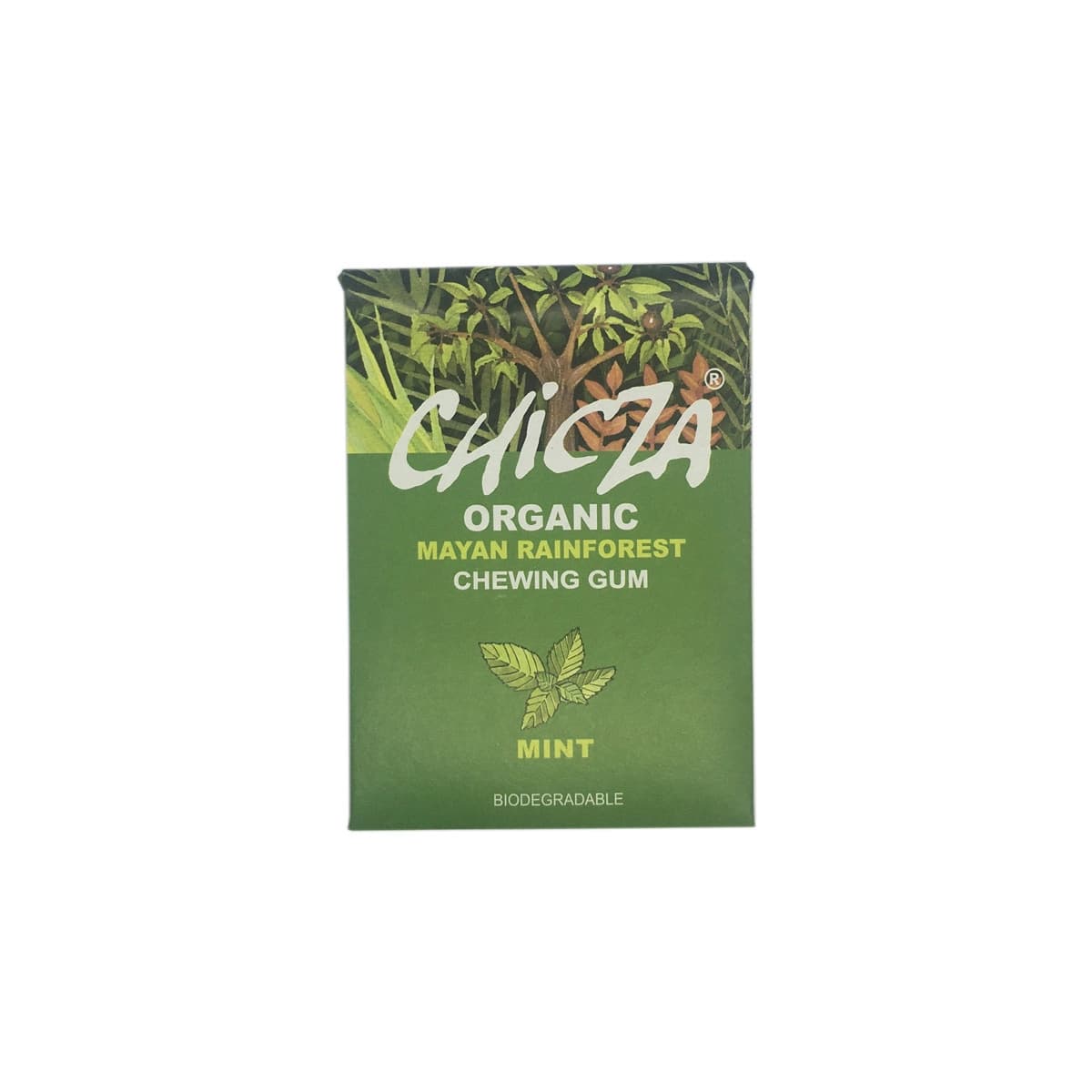 Chicles de sabor menta bio 30g Chicza