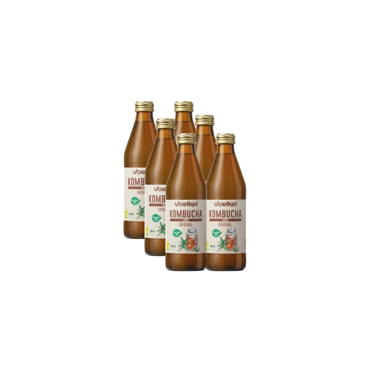 Kombucha Original bio 6x330ml Voelkel