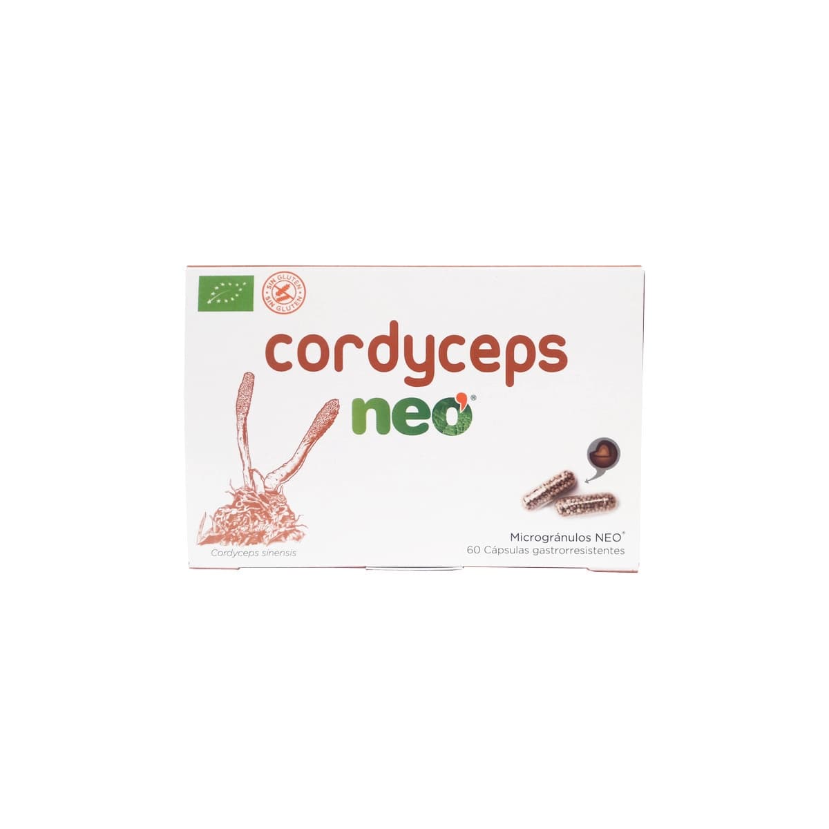 Cordyceps bio 60 capsulas Neo